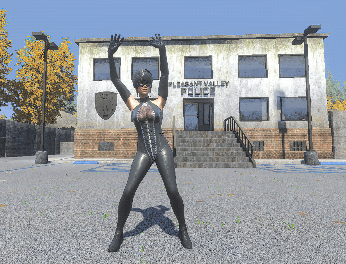 中文社区第四版皮肤